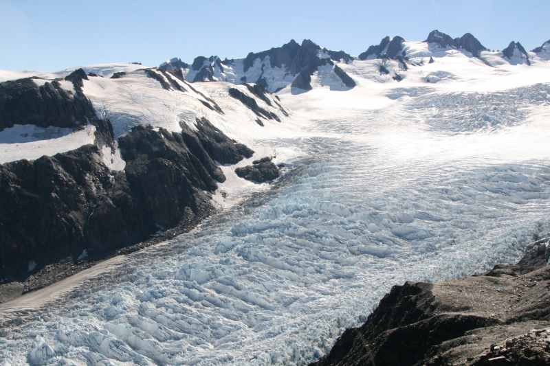 Nieuw-Zeeland 2011 - 1498